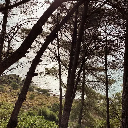 Studio Seaview شقة سانت ماكسيم